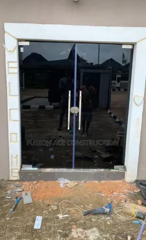 Black Tinted Frameless Glass Doors