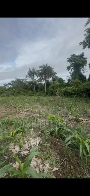 A Plot of Land