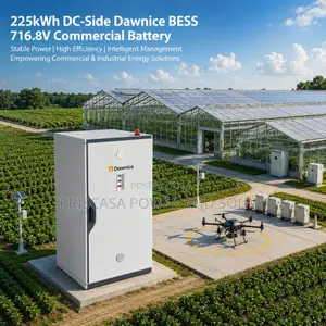 225kwh Dc-Side Dawnice Bess 716.8v Commercial Battery