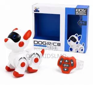 Kids’ Buddy Dog R/C – Smart Remote Control Robot Dog