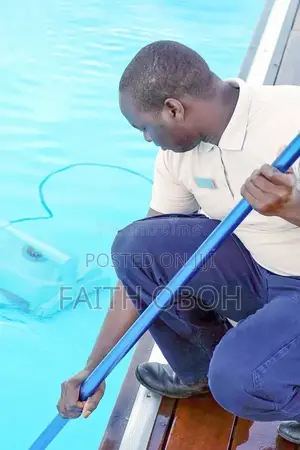 Cleaner in Lagos