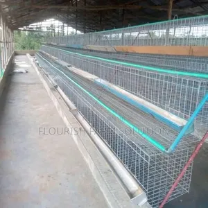 Happiness Poultry Equipments