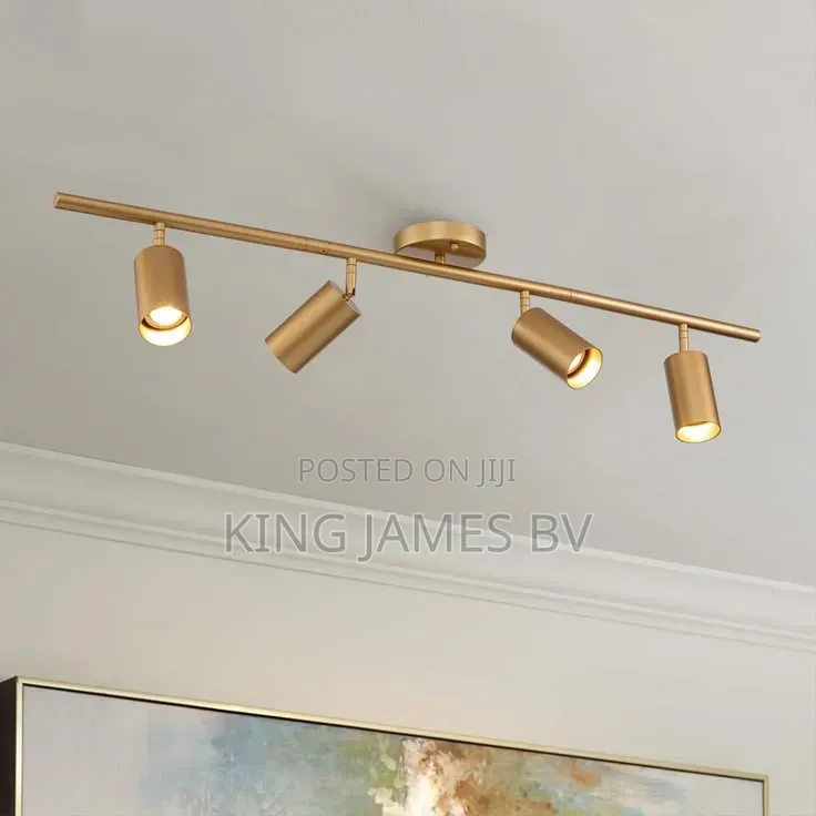 Gold Track Light