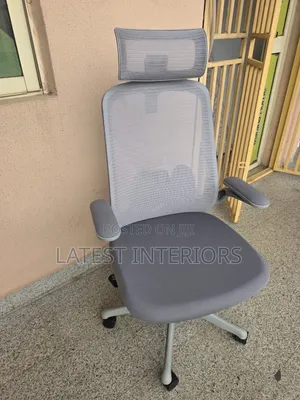 Executive Ergonomic Office Chair