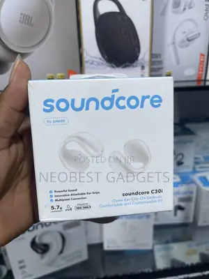 Soundcore C30i