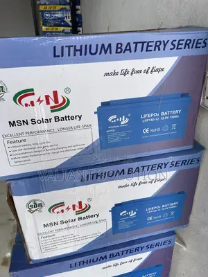 MSN 150 Amp Lithium Battery