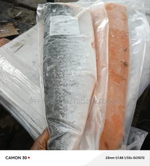 Salmon Fish
