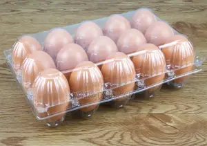 Premium Transparent Egg Crates By 15