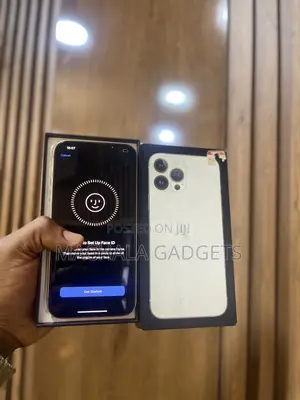 Apple iPhone 13 Pro Max 256 GB Gold
