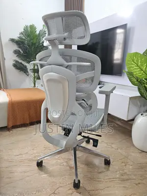 Ergonomic Office Chair (Grey)