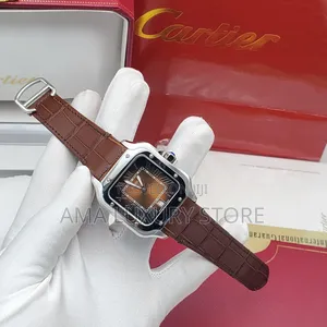 Cartier Santos Premium Luxury Men Leather Authomatic Wristwatch