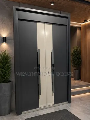 Modern Double Front Entry Door With Smart Lock and Tv High Quality