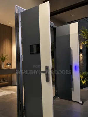 Modern Double Front Entry Door With Smart Lock and Tv High Quality