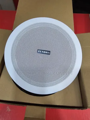 Tundra 30watts Frame Ceiling Speaker