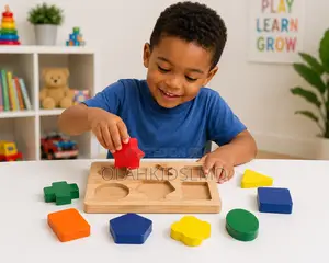 Wooden Shapes Sorting Puzzle Board – Geometric Shapes Learning Toy