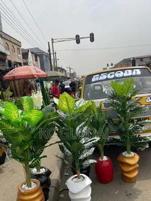 Outdoor and Indoor Flower and Vase Available