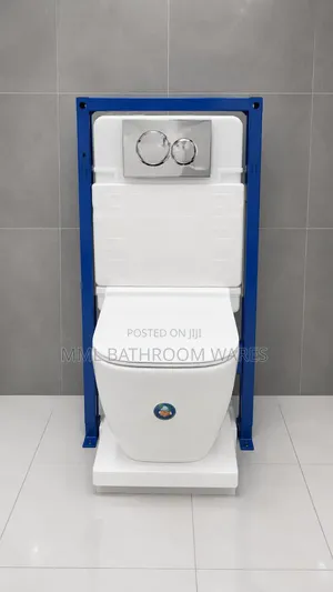 Original Wall Hung Wc With Concealed Tank
