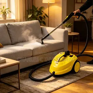 Multifunctional Robayse Steam Cleaner 2000w