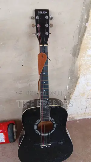 Manual Delson Guitar