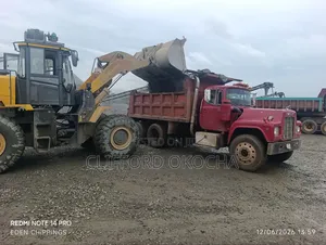 Black Iron Chippings