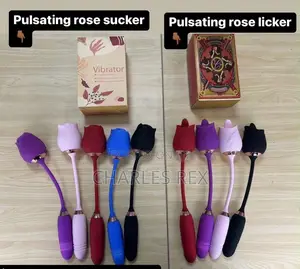 2 in 1 Rose Vibrator