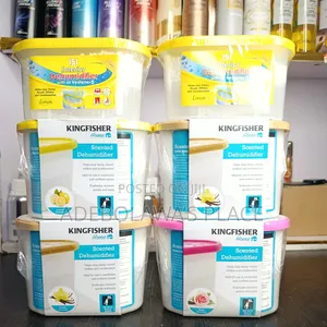Dehumidifier
