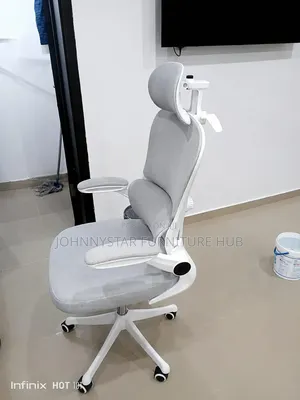 Adjustable Hands Economic Executive Office Chair