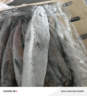 Panla Hake Fish