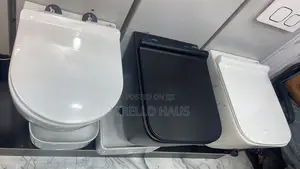 Black Conceal Toilet