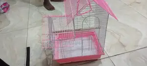 Foreign Cage for Sale