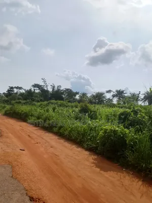 3 Plots of Land for for Sale Inside Akufo Town , Ib.Facing Main Road
