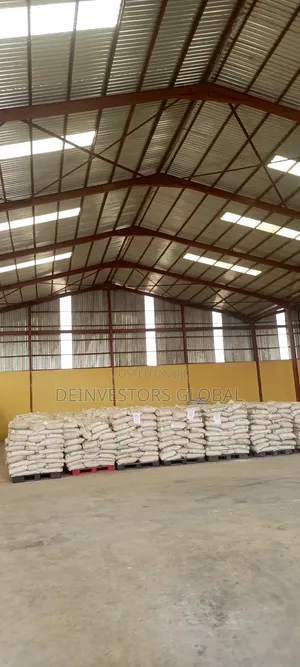 Warehouse for Lease at Songo