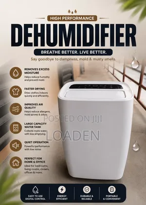 Imported Olimpia Splendid - Dehumidifier | 24L