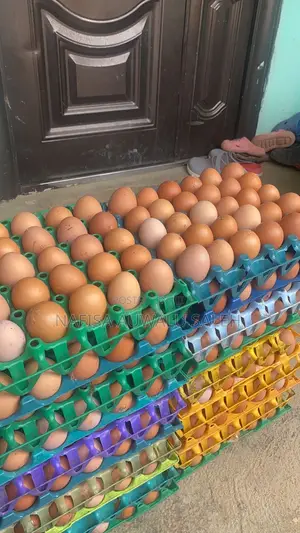 Fresh Farm Eggs – Large Small Crates Available