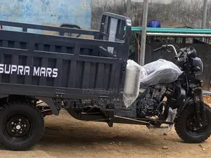 New Tricycle 2025 Gray