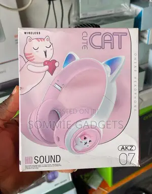Akz-07 Over Ear Wireless Headset
