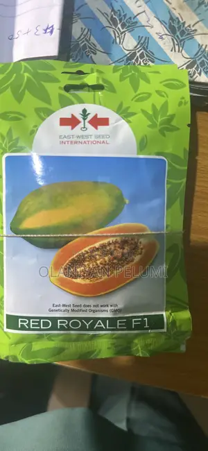 Red Royale F1 Pawpaw