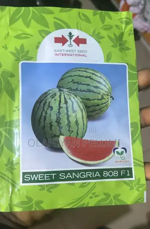 Sweet Sangaria 808f1 Watermelon