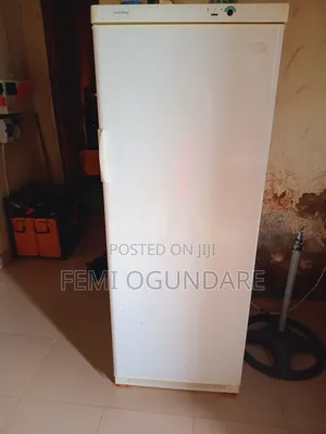 Standing Freezer