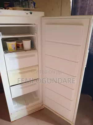 Standing Freezer