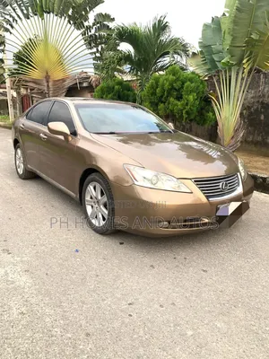 Lexus ES 350 2009 Brown