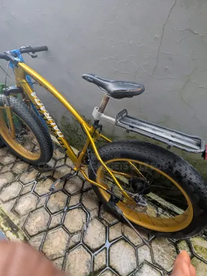 Dayang Apollo 2021 Gold