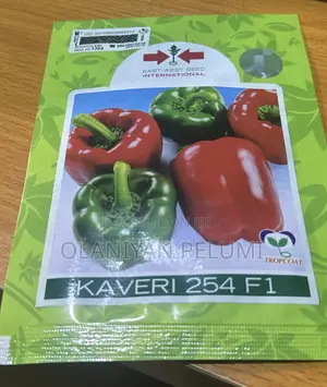 Kaveri 254 F1 Bell Pepper