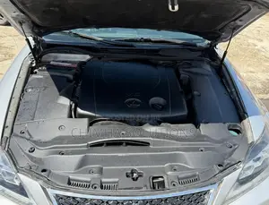 Lexus IS 2009 Gray