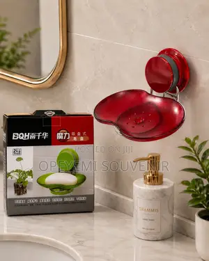 Wall-Mounted Soap Dish