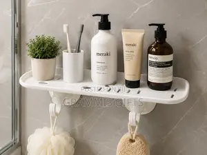Wall-Mounted Bathroom Organizer