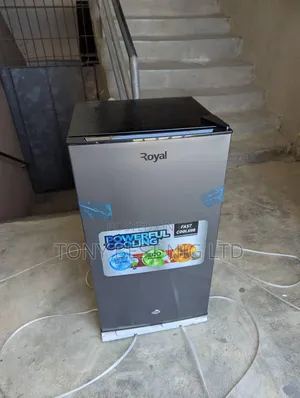 Royal Original Standing Fridge With Low Voltage