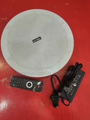 Tundra Single 60watts Frameless Speaker With Bluetooth Amplifier