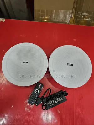 Tundra 60watts 2in1 Bluetooth Speakers