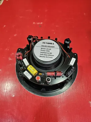 Tundra 40watts Frameless Speaker